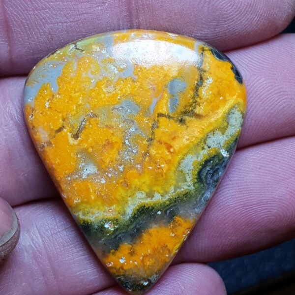 Bumblebee Jasper
