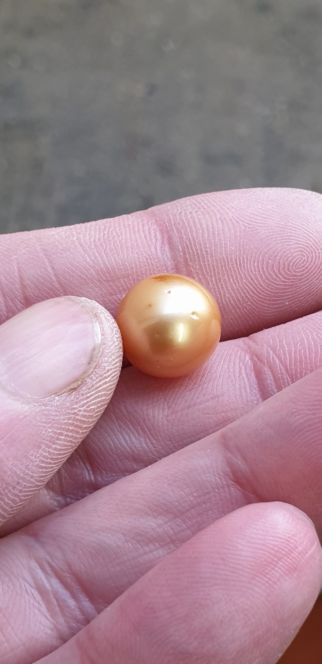 12.5mm B grade golden authentic South Sea cultured pearl (single)