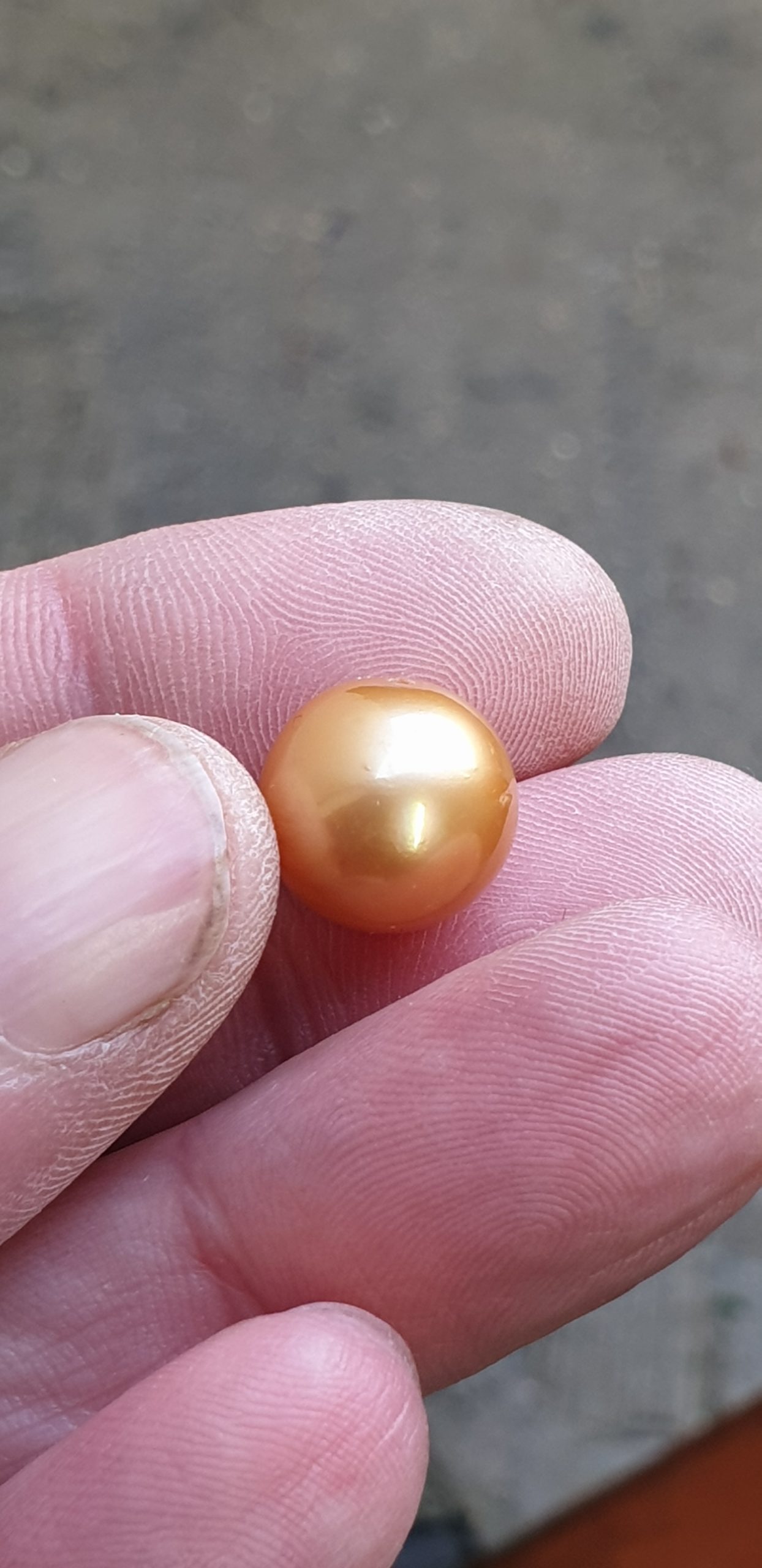 12.5mm B grade golden authentic South Sea cultured pearl (single) - Image 2
