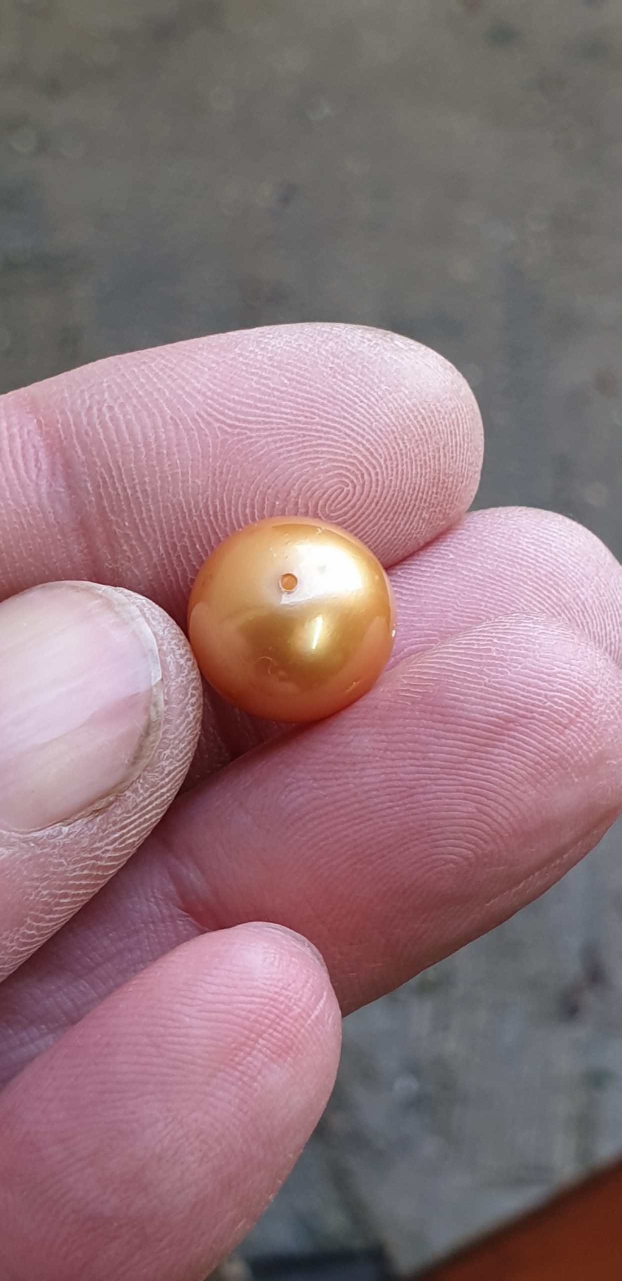 12.5mm B grade golden authentic South Sea cultured pearl (single) - Image 3