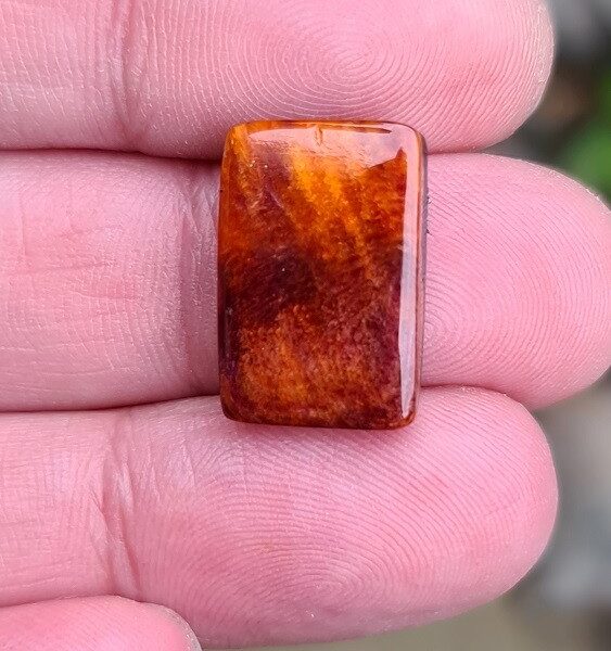 19x12mm spiny oyster shell cabochon