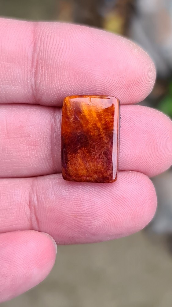 19x12mm spiny oyster shell cabochon