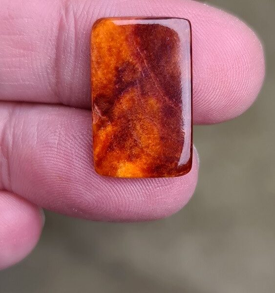 22x14mm spiny oyster shell cabochon