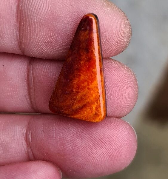 26x14mm spiny oyster shell cabochon