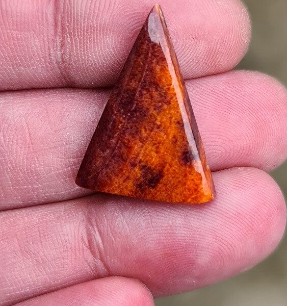27x20mm spiny oyster shell cabochon