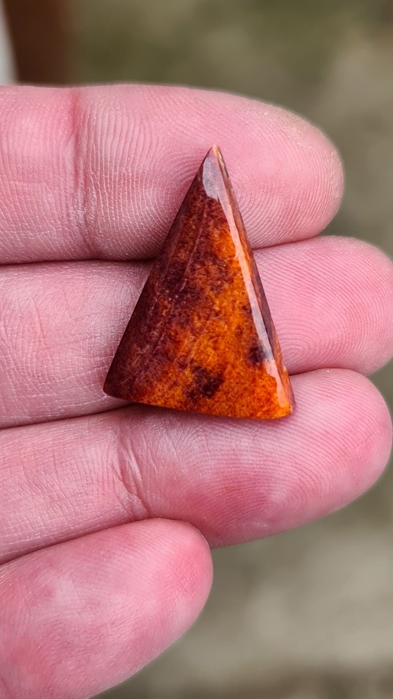 27x20mm spiny oyster shell cabochon