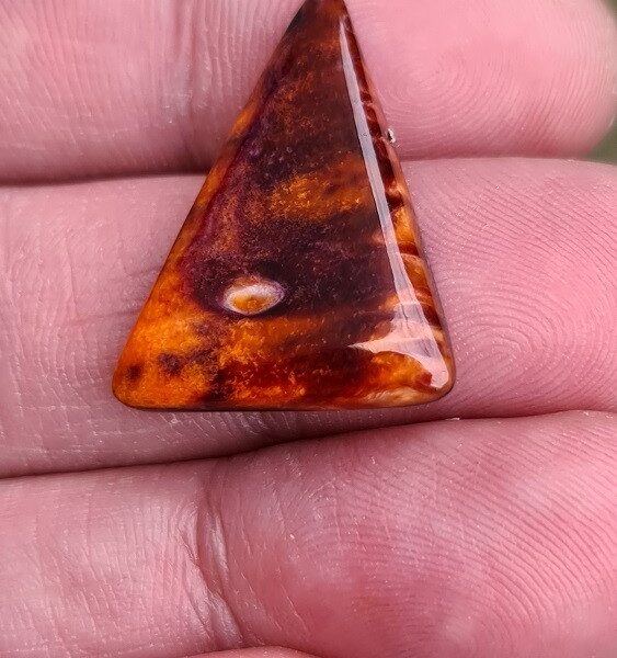 26x20mm spiny oyster shell cabochon