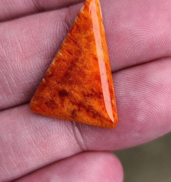 27x20mm spiny oyster shell cabochon