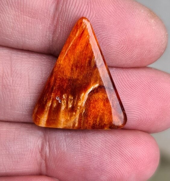 26x22mm spiny oyster shell cabochon