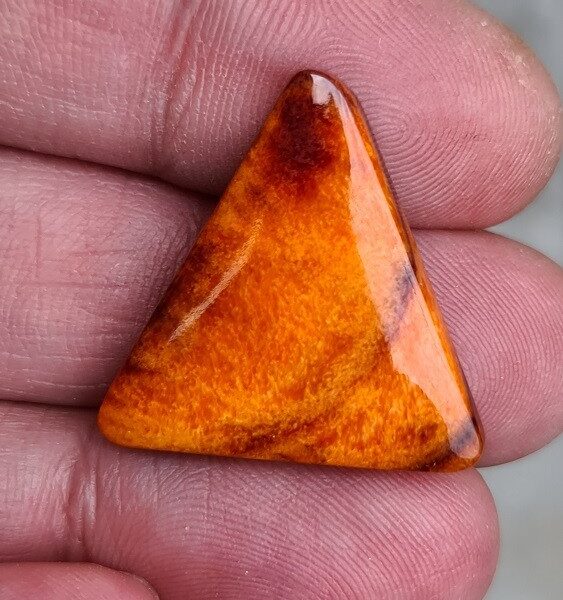 25x25mm spiny oyster shell cabochon