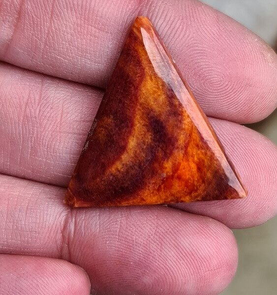 30x30mm spiny oyster shell cabochon