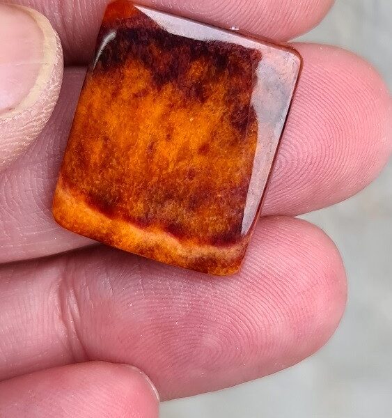 23x20mm spiny oyster shell cabochon