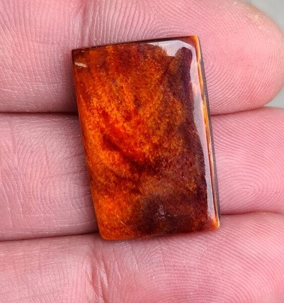 25x17mm spiny oyster shell cabochon