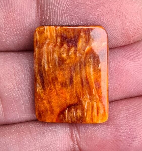 24x18mm spiny oyster shell cabochon