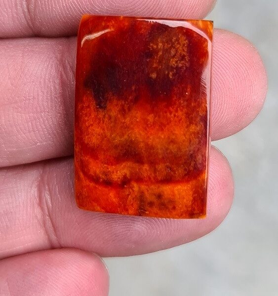 28x19mm spiny oyster shell cabochon