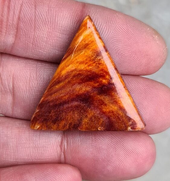 34x32mm spiny oyster shell cabochon