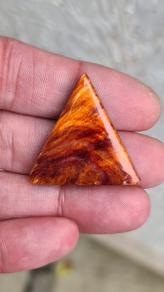 34x32mm spiny oyster shell cabochon