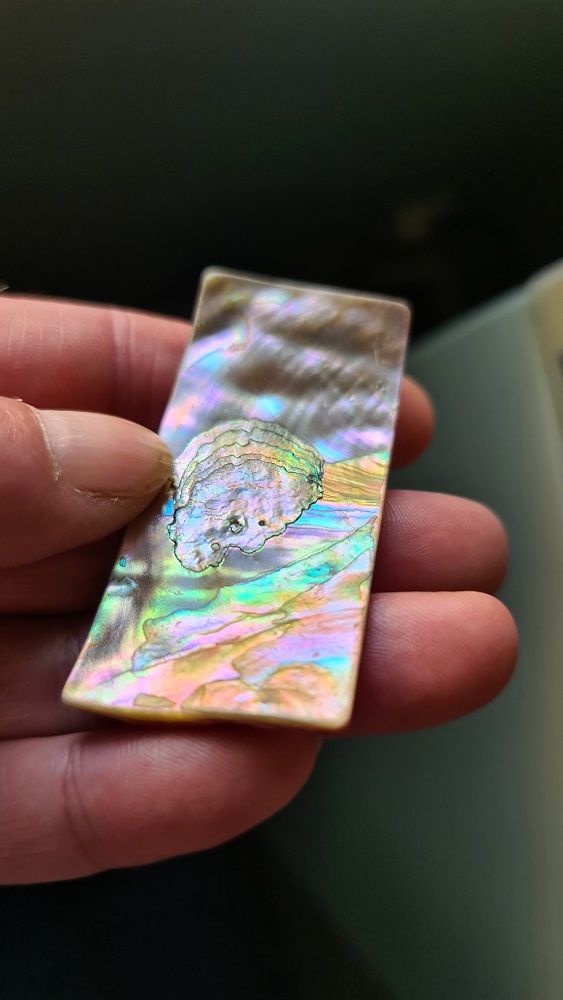 64x31mm piece of Abalone shell