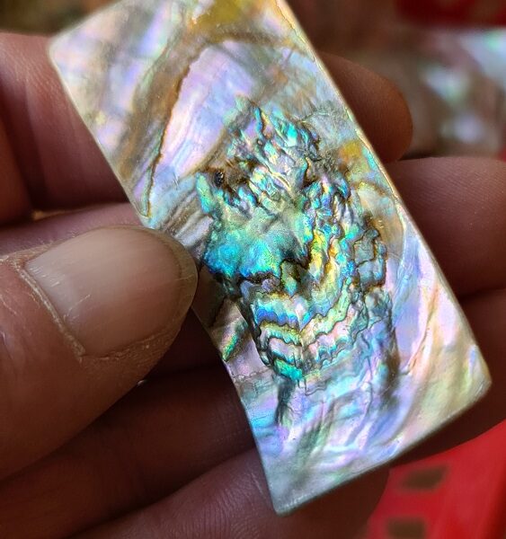61x27mm piece of Abalone shell