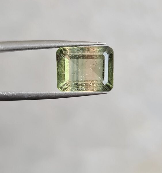 10.09x7.95x5.03mm high end bicolour Brazilian tourmaline facet