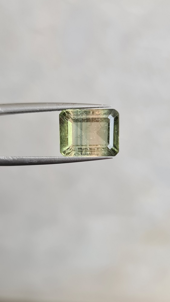 10.09x7.95x5.03mm high end bicolour Brazilian tourmaline facet