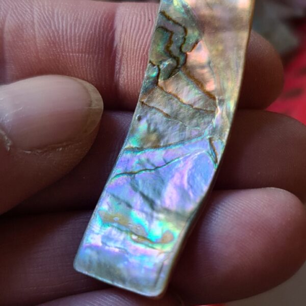 48x16mm piece of Abalone shell
