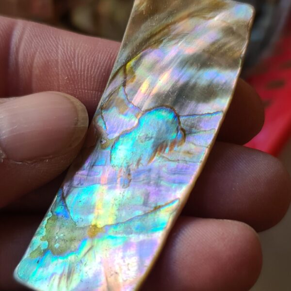 62x24mm piece of Abalone shell