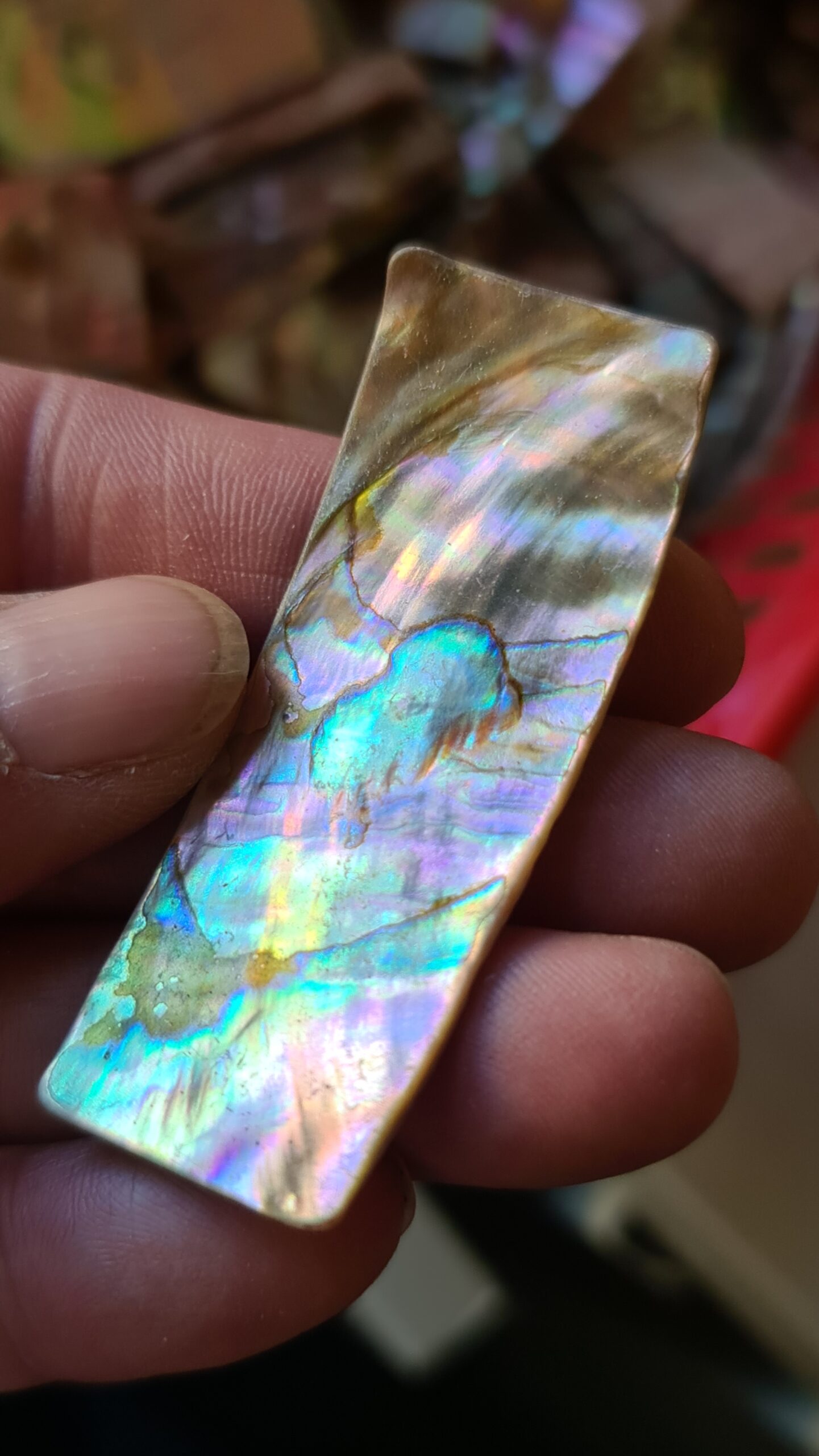 62x24mm piece of Abalone shell