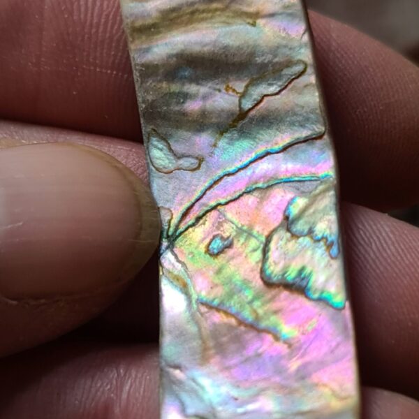 47x17mm piece of Abalone shell