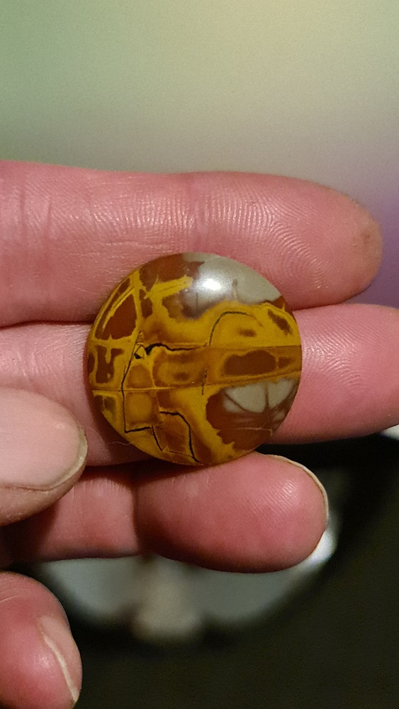 28mm round Noreena jasper cabochon