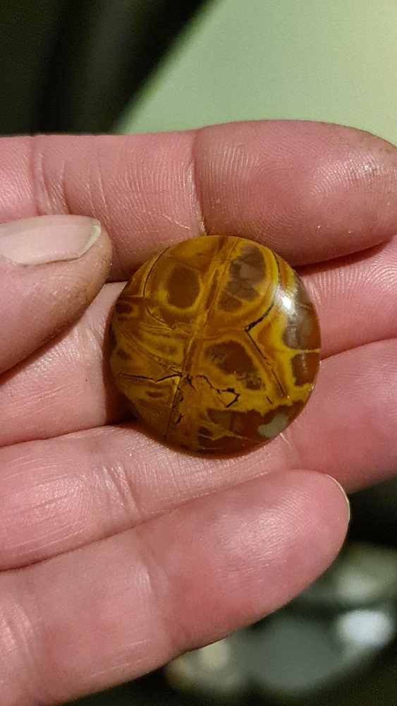 28mm round Noreena jasper cabochon