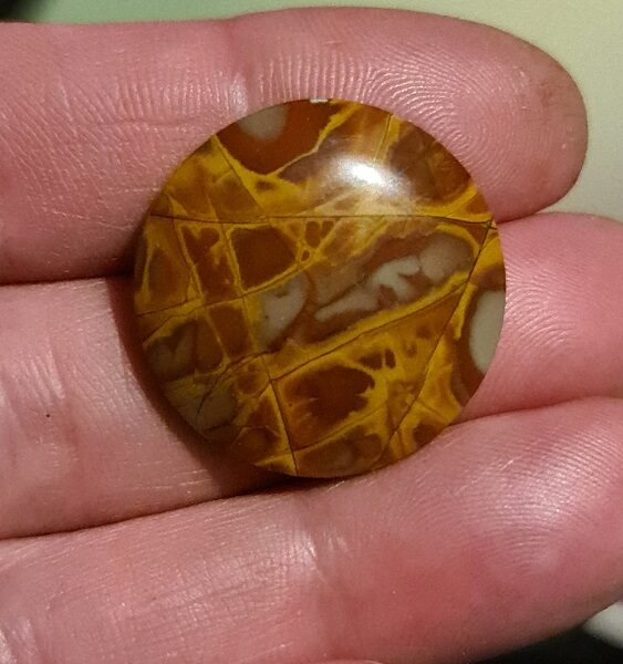 28mm round Noreena jasper cabochon