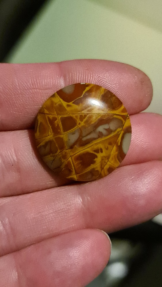 28mm round Noreena jasper cabochon