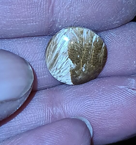 15mm round Bridewell stone cabochon