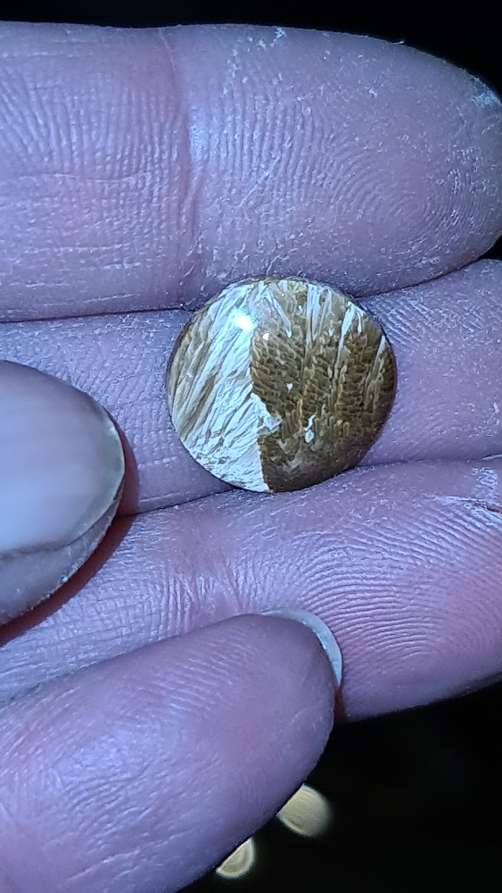 15mm round Bridewell stone cabochon