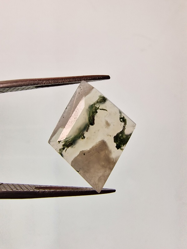 21x17mm moss agate picture cabochon