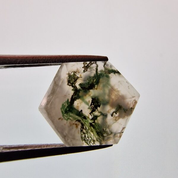 14x11mm moss agate picture cabochon - reserved