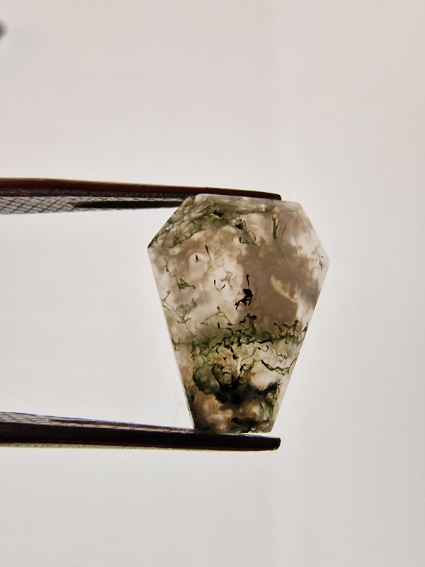 15x12mm moss agate picture cabochon