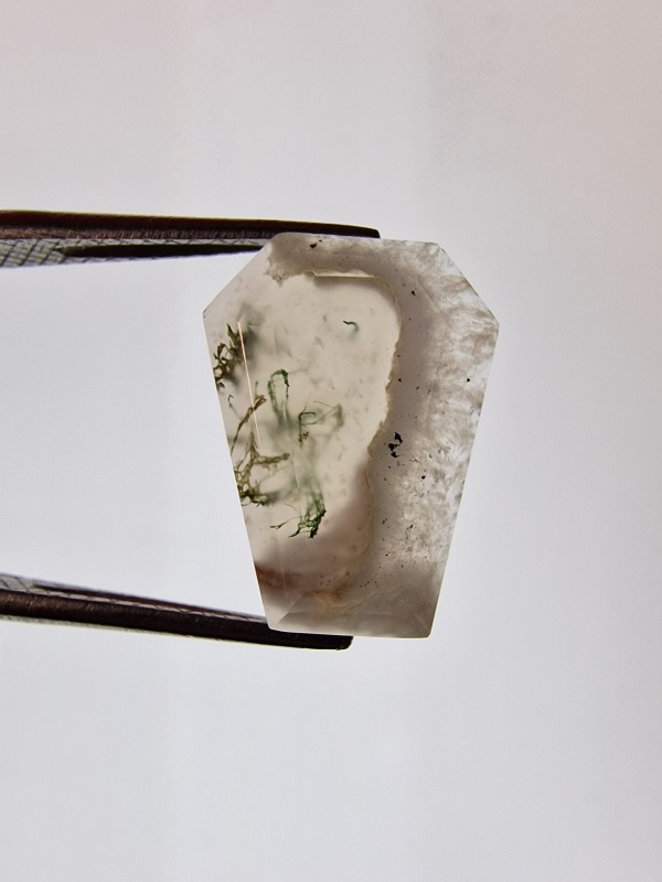 17x13mm moss agate picture cabochon