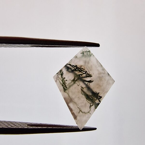 17x13mm moss agate picture cabochon