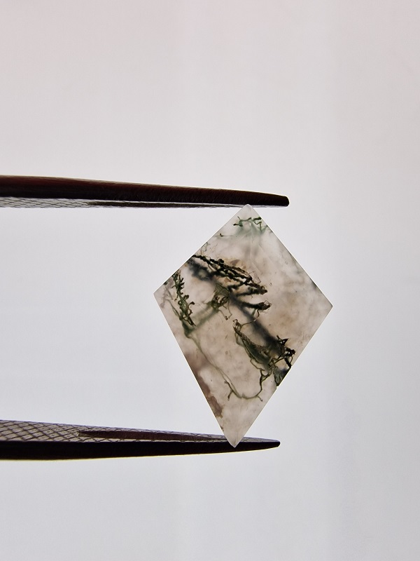17x13mm moss agate picture cabochon