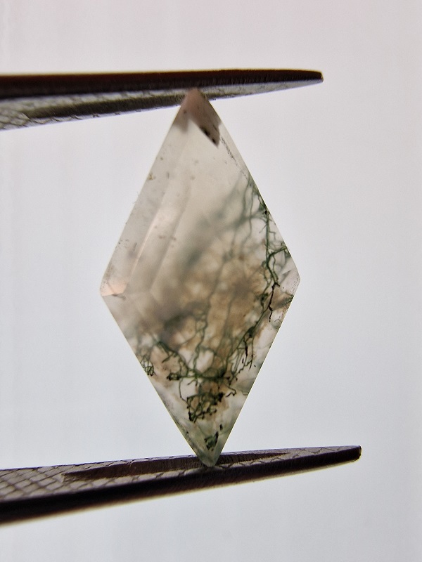 18x10mm moss agate picture cabochon