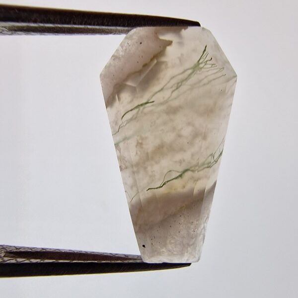 19x11mm moss agate picture cabochon