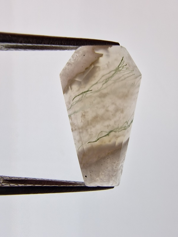 19x11mm moss agate picture cabochon
