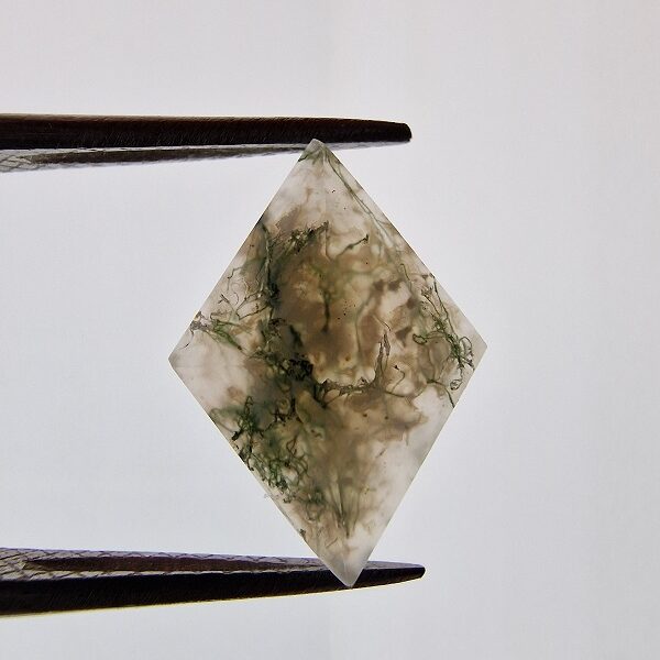 16x12mm Moss Agate Picture Cabochon for Wire Wrapping & Silversmithing