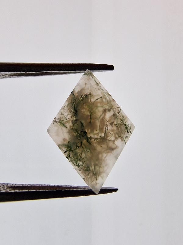 16x12mm Moss Agate Picture Cabochon for Wire Wrapping & Silversmithing