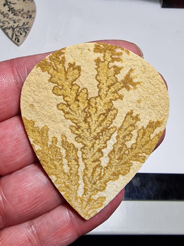 69x58mm Psilomelane Dendrite cabochon