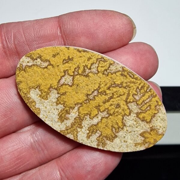 60x33mm Psilomelane Dendrite cabochon