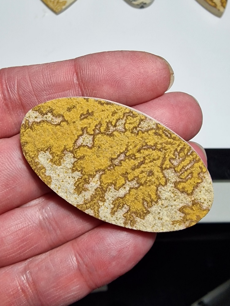 60x33mm Psilomelane Dendrite cabochon