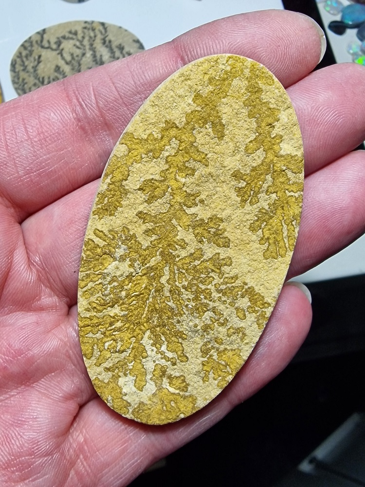 72x40mm Psilomelane Dendrite cabochon